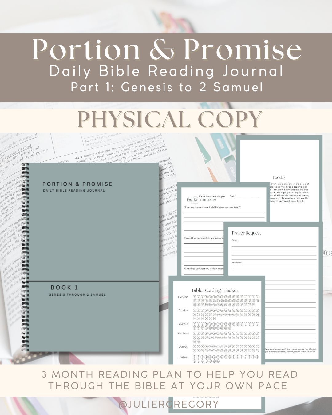 Portion & Promise Book 1 Daily Bible Reading Journal PHYSICAL Copy