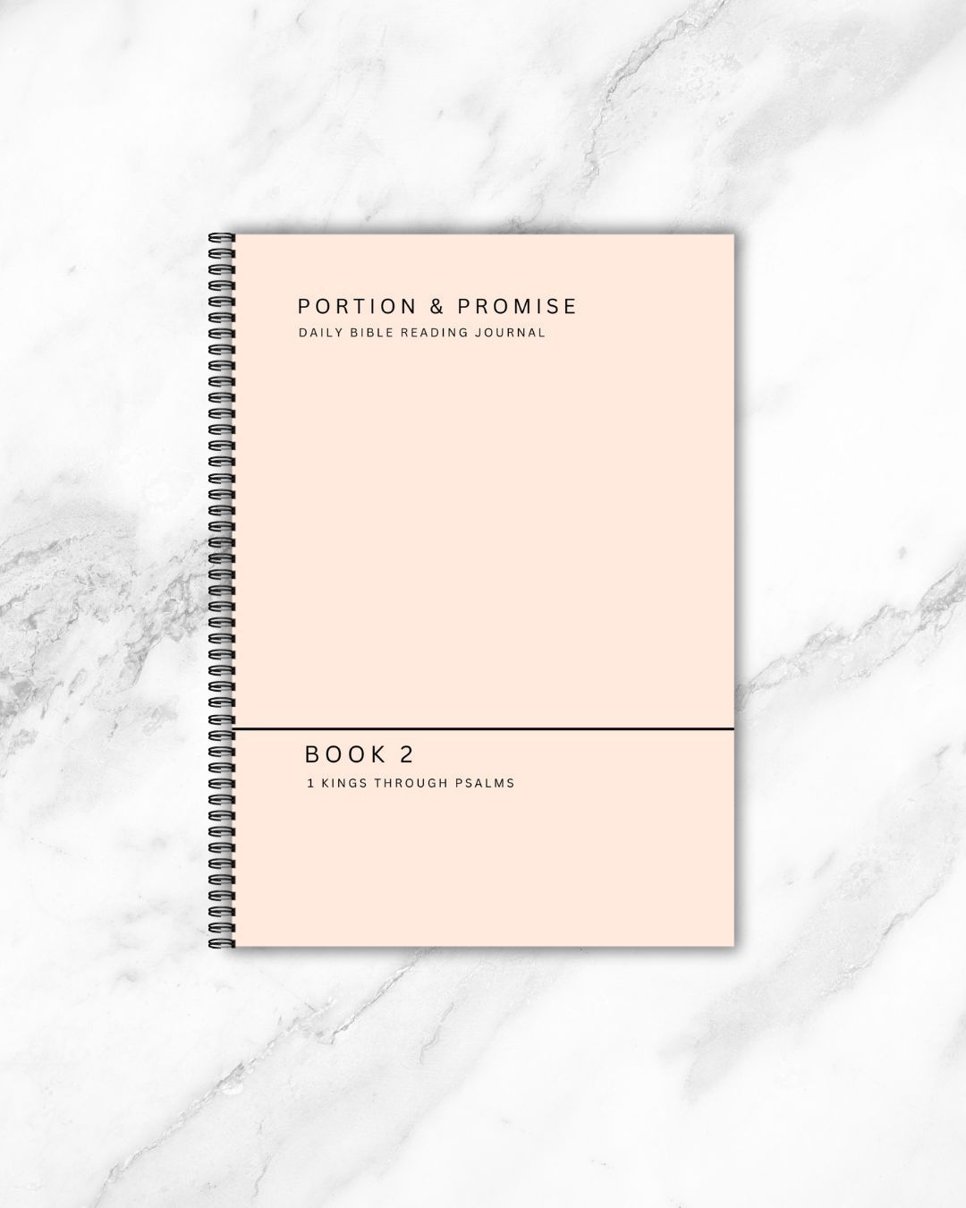 Book 2: Portion & Promise 1 Kings through Psalms PHYSICAL COPY