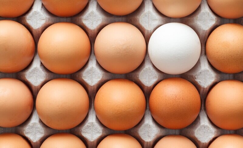 Chicken Eggs