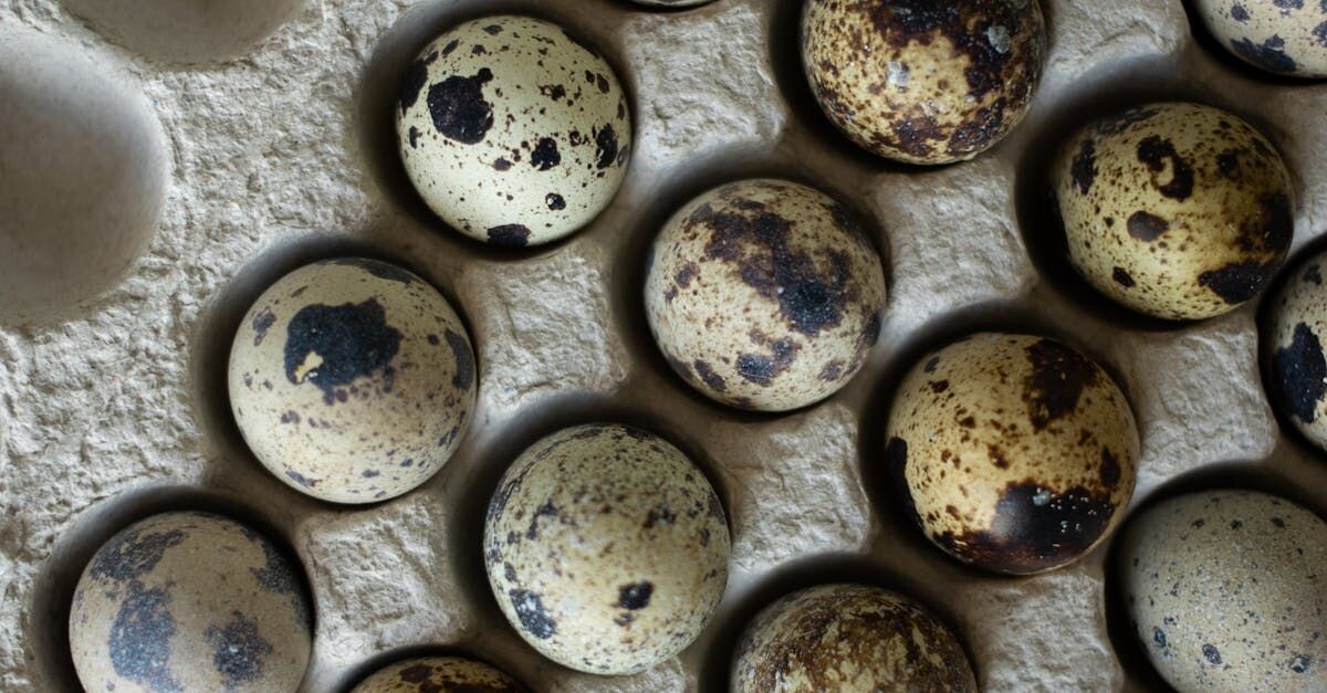 Quail Eggs