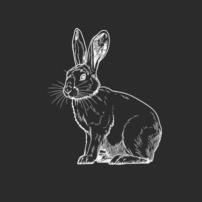 RABBITS