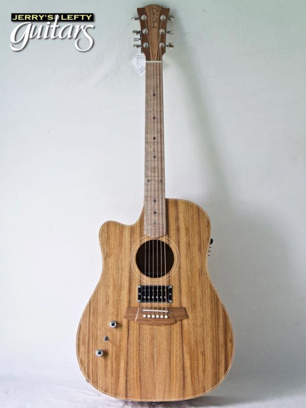 Cole Clark FL2EC Blackwood Humbucker Cutaway Acoustic