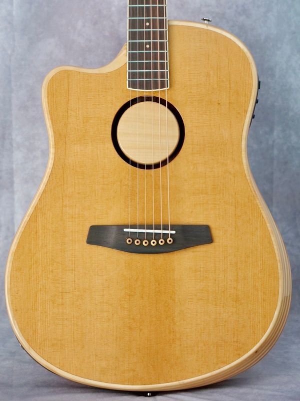 LR Baggs AEG-1 Torrified #037 left handed acoustic/electric guitar