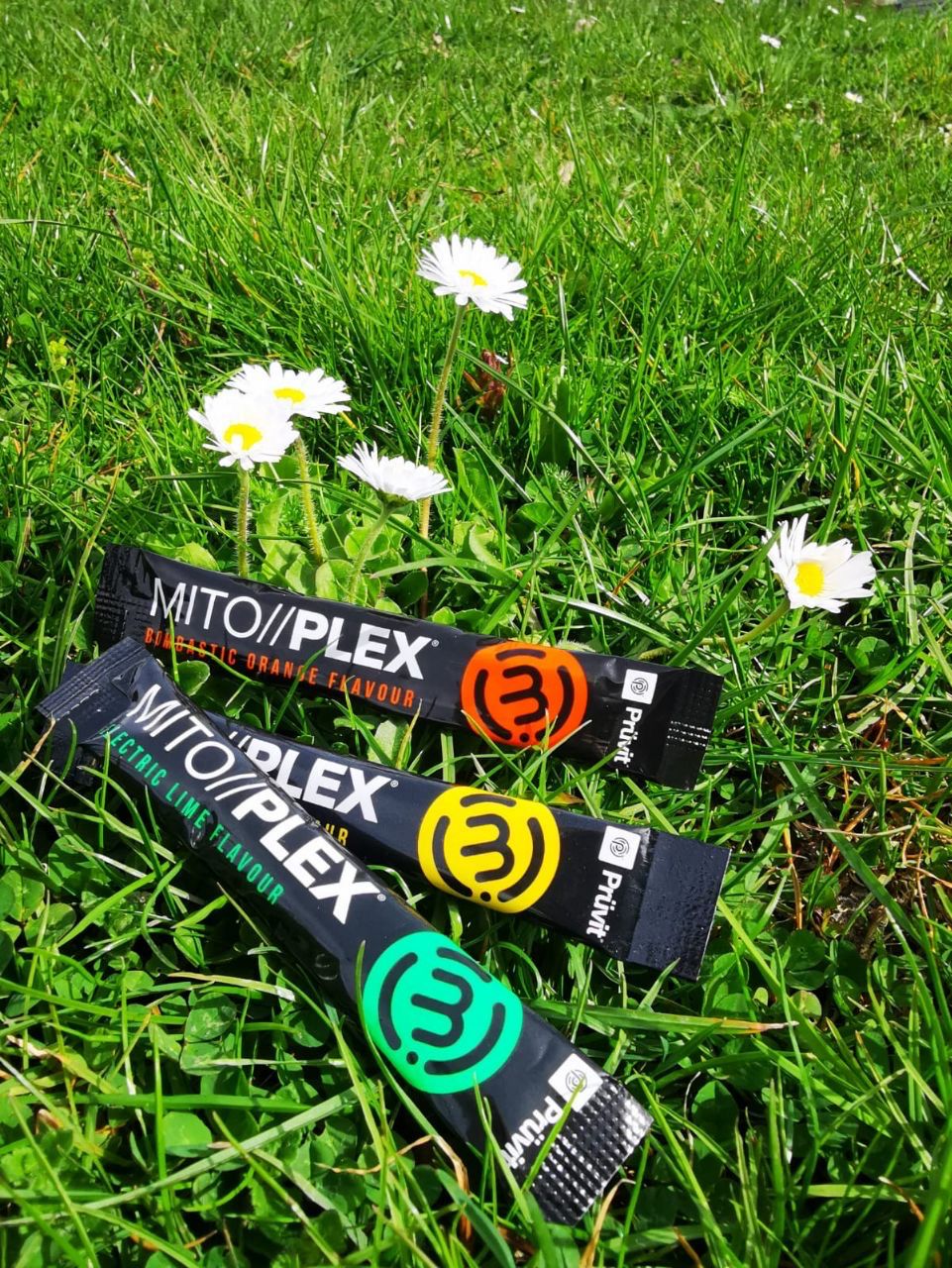 30 MITO//PLEX®