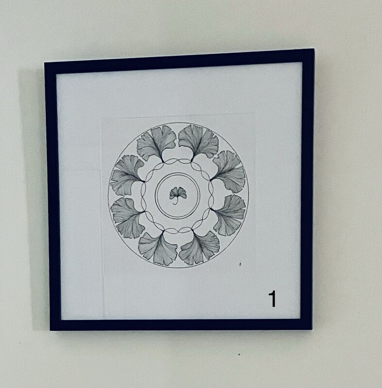 Various original ink drawings in black timber frame 50x50cm