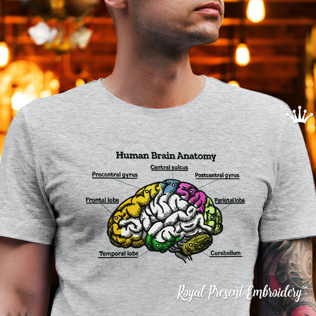 Разноцветный человеческий мозг Дизайн машинной вышивки - 4 размера