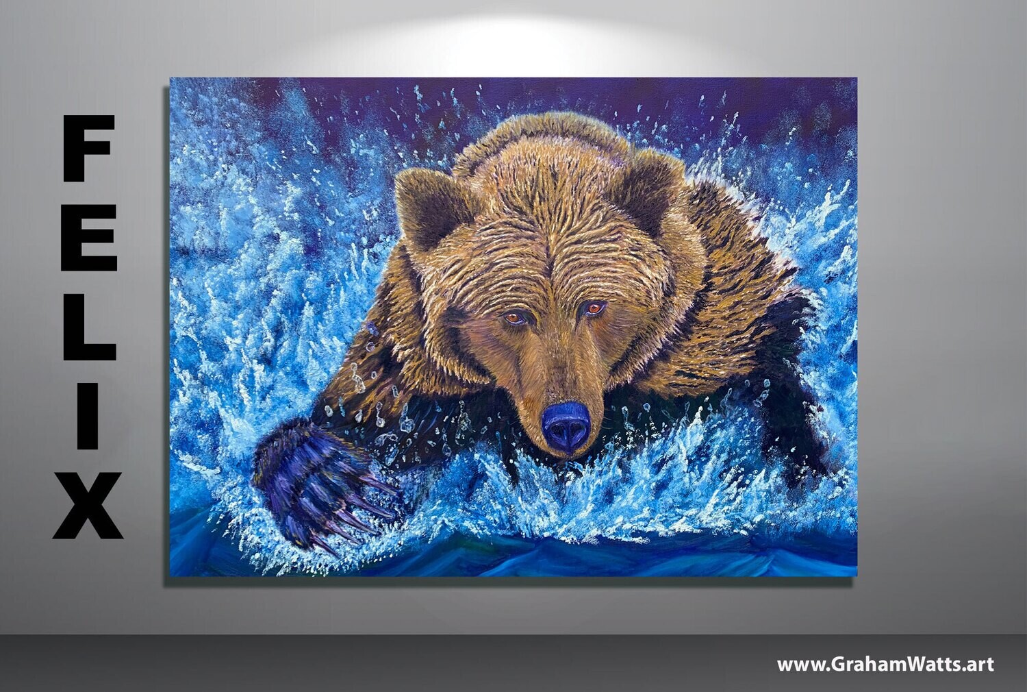 &quot;Felix&quot; - Grizzly Bear