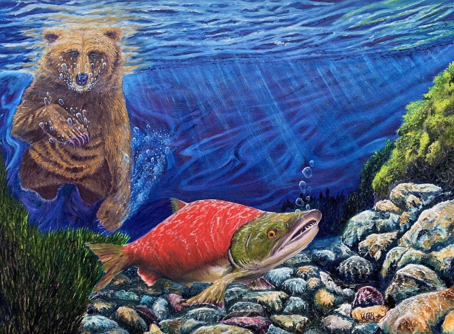 &quot;OH SH*T&quot; Sockeye Salmon meets Grizzly Bear Painting Canadian Artist Graham Watts