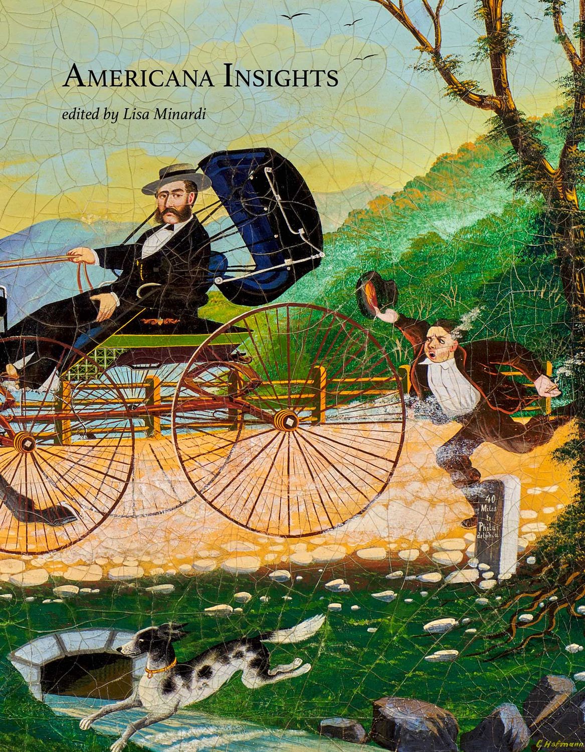 Americana Insights 2024