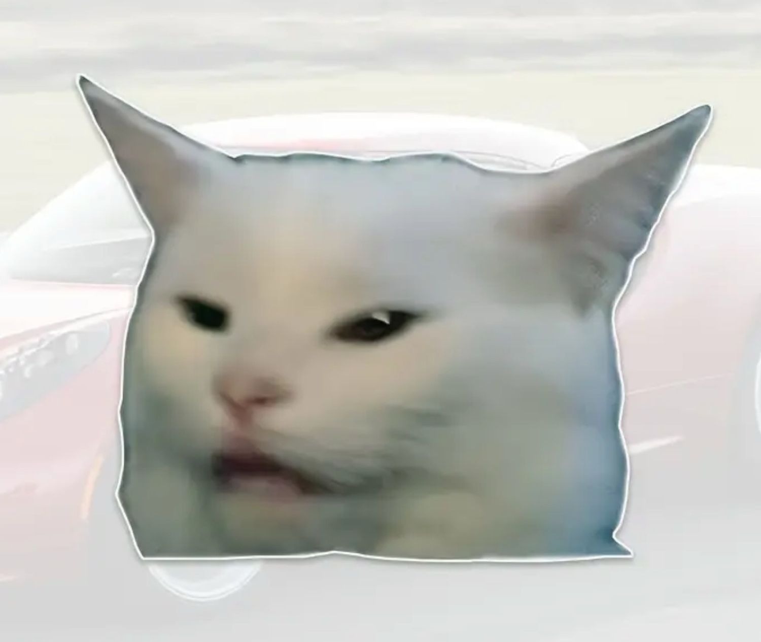 Salad Cat 2 Peeker Sticker