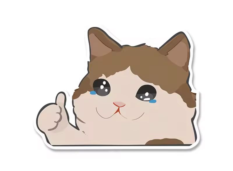 Crying Cat Peeker Sticker