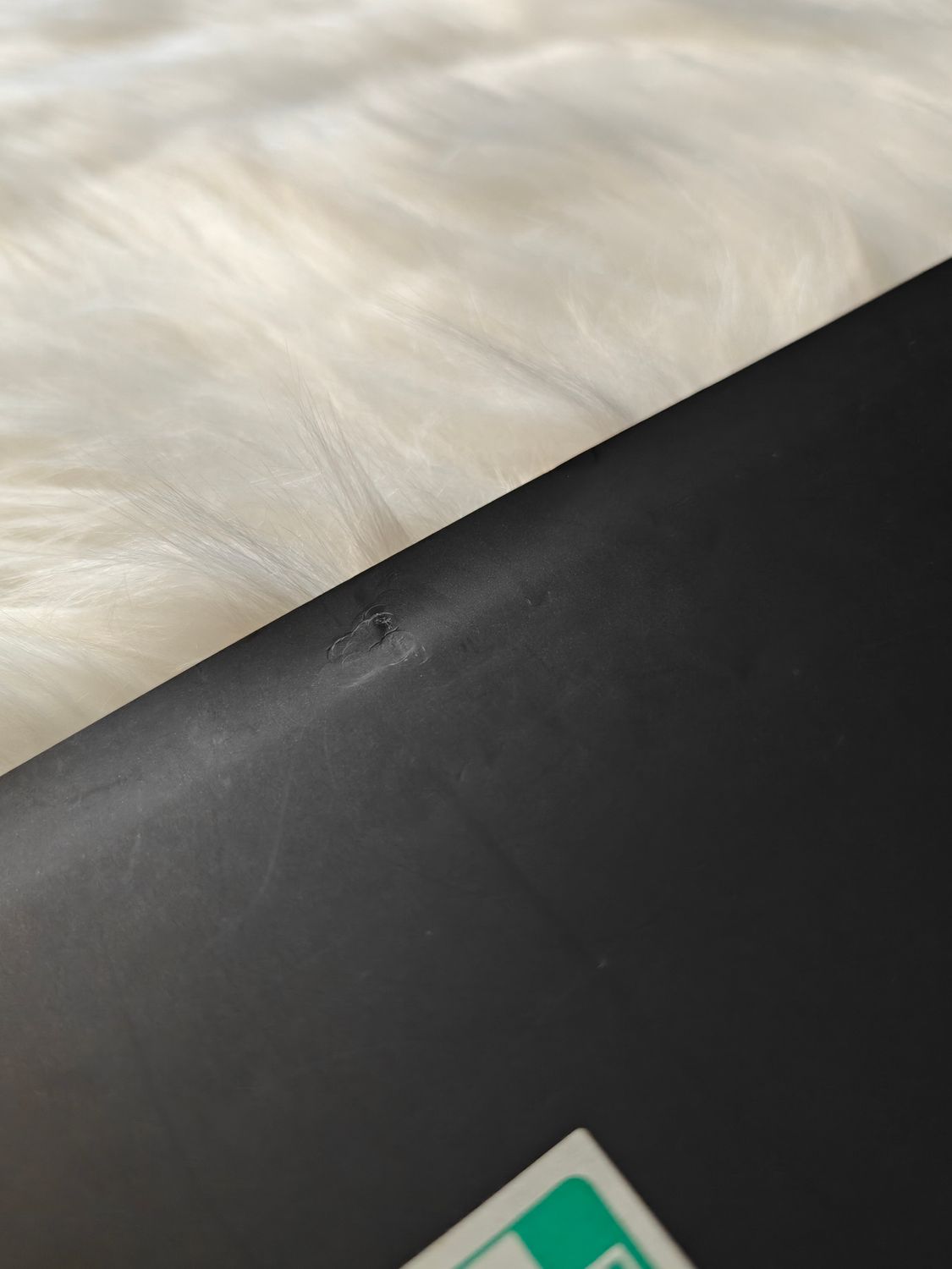 Nissan Skyline GT-R R34 Broschüre