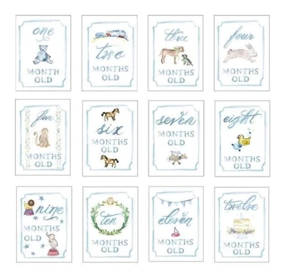 Month by month baby cards