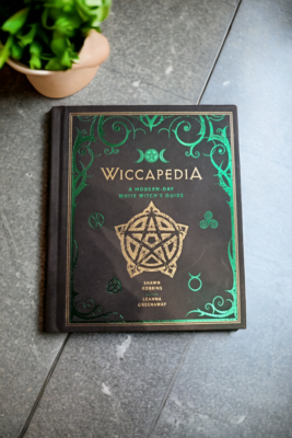 Wiccapedia: A .overnight Day White Witches Guide
