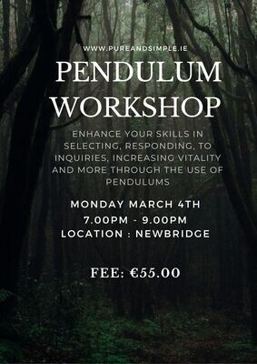 Pendulum Workshop March 4th