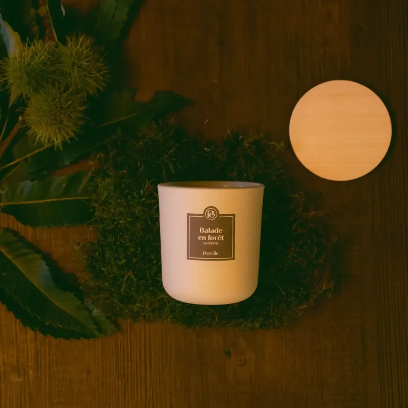 Kerze - Waldspaziergang - Auvergne Kerze - Waldspaziergang - Auvergne