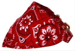 Red Western Bandana Collar