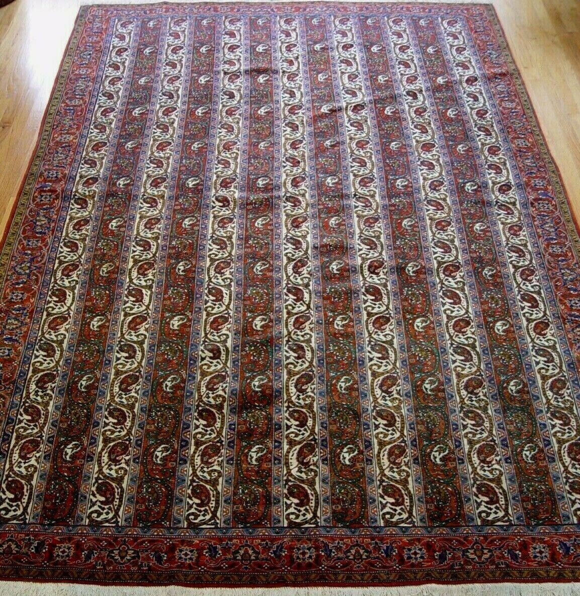 7' x 10'7"  Hand Knotted Wool Paisley Striped Premium Quality Rug