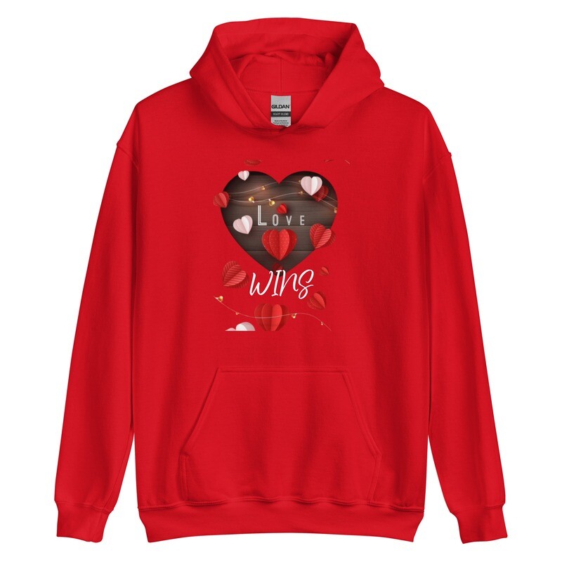love wins hoodie