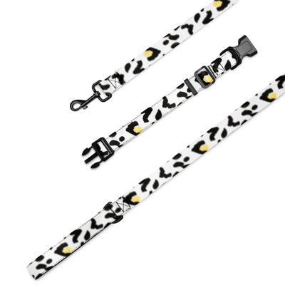 Pet collar &amp; leash