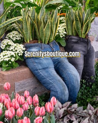 STYLED 2 PLANT  ARRANGEMENT