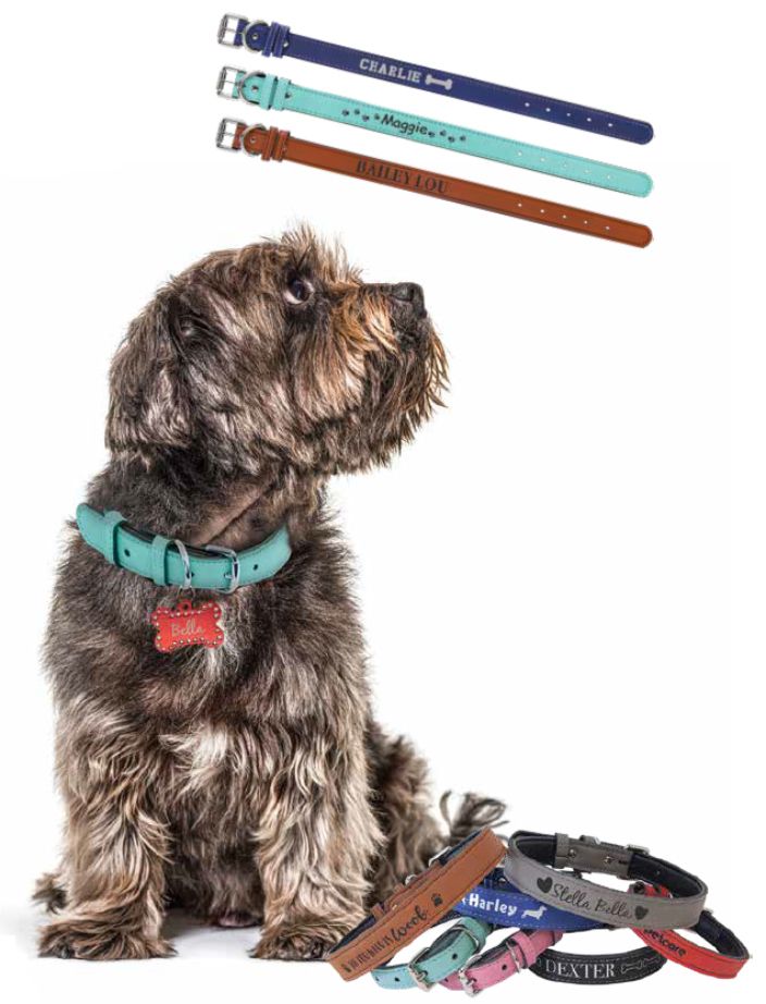 Laserable Leatherette Pet Collars