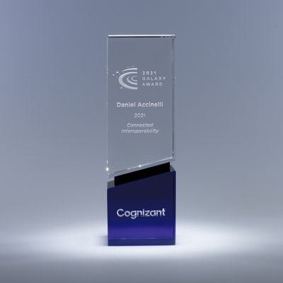 Crystal Steward Award