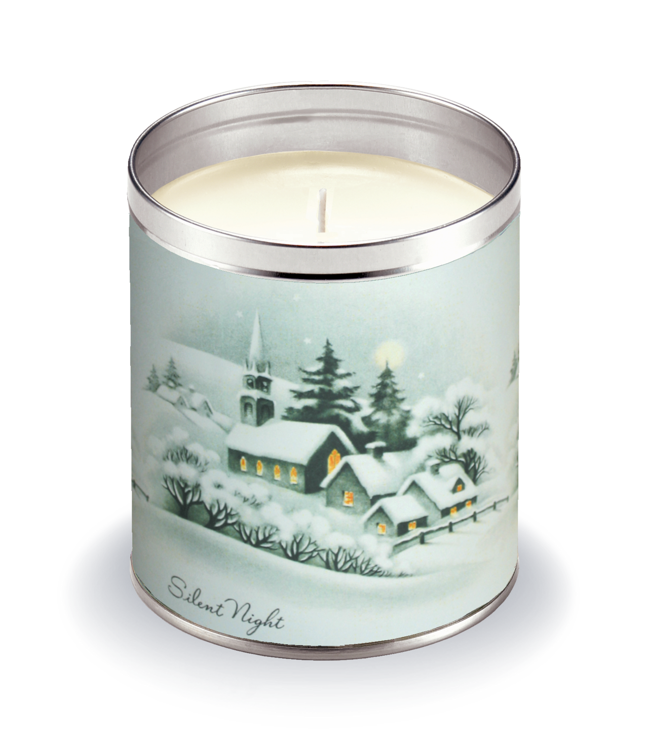 Snowy Silent Night
