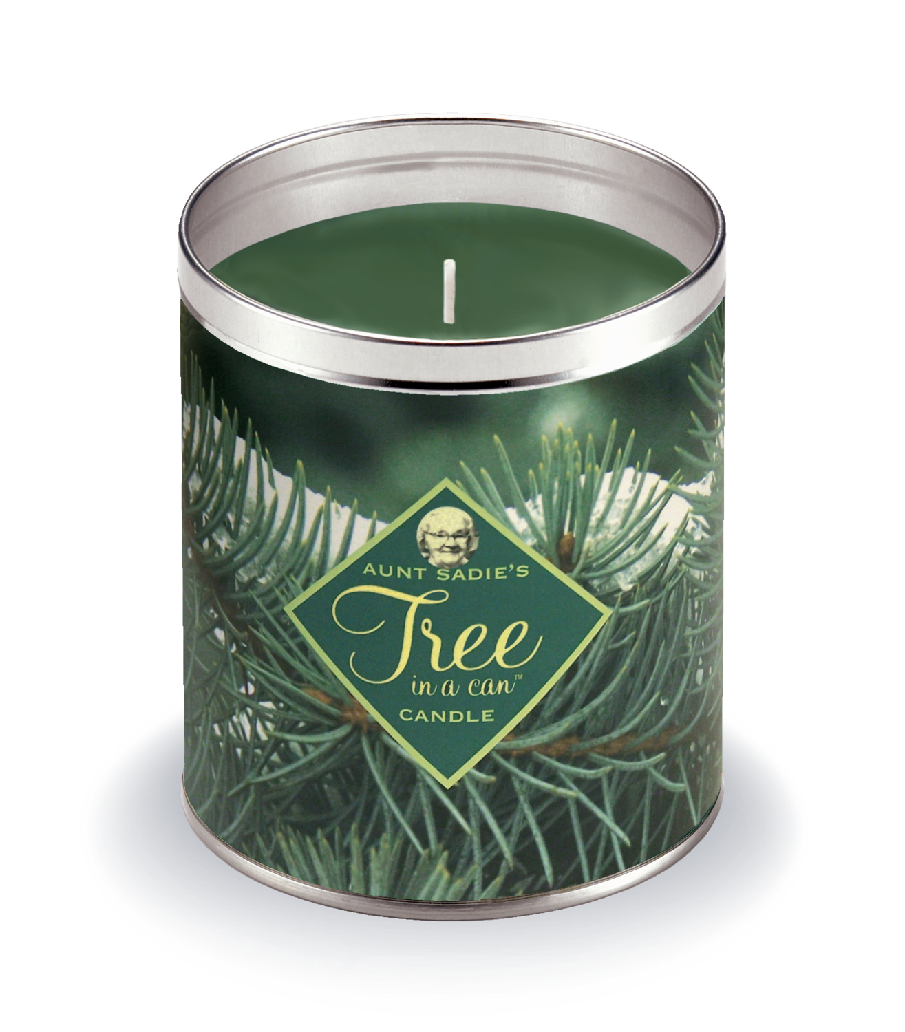 Pine Boughs Tree in a Can