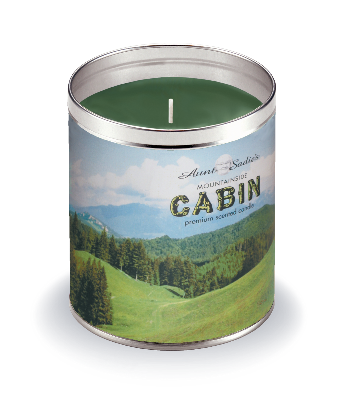 Mountainside Cabin