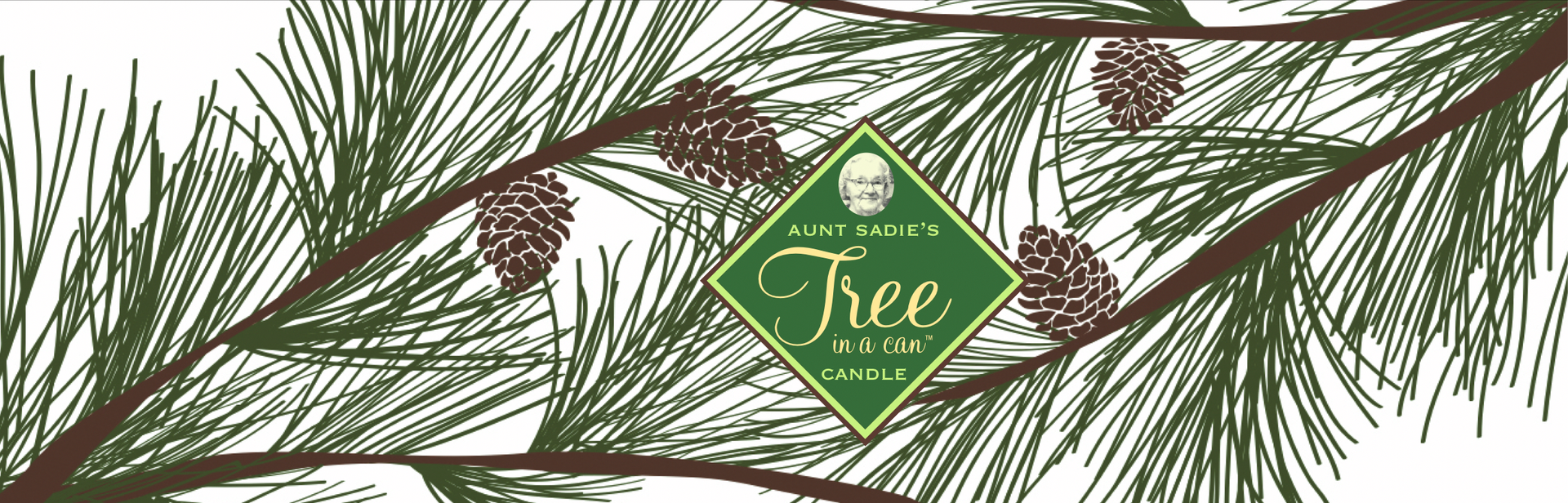 Kate Nelligan’s Pinecones Tree in a Can