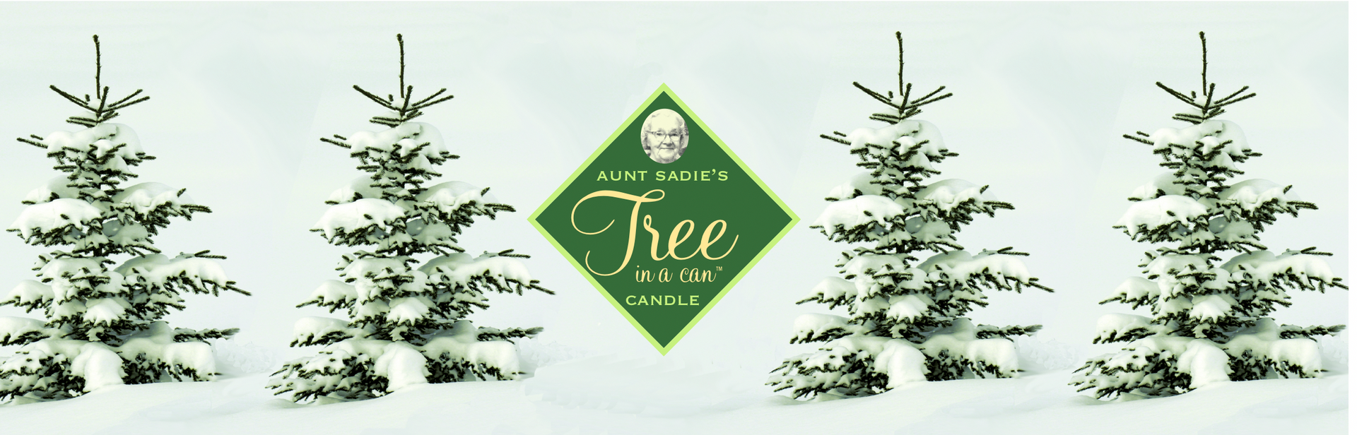 Winter Trees  Tree in a Can