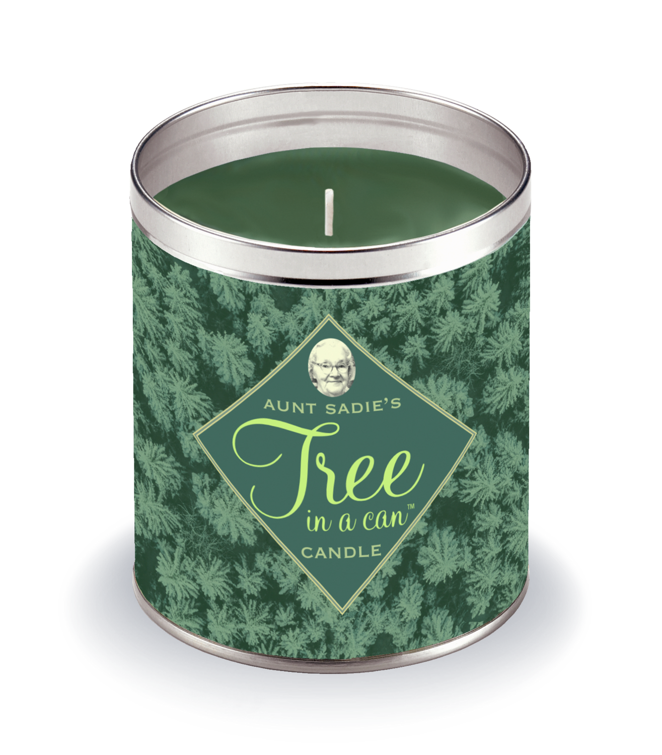 Pine Forest Tree in a Can
