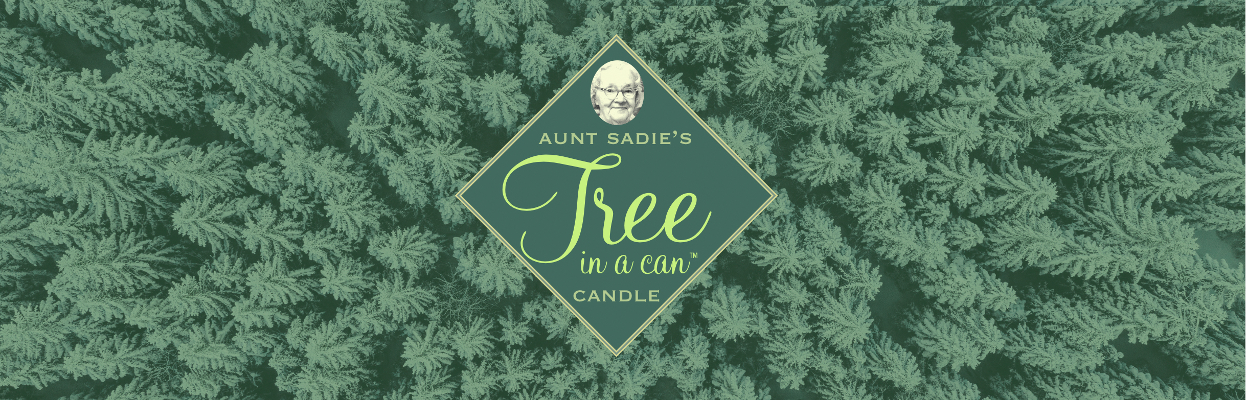 Pine Forest Tree in a Can