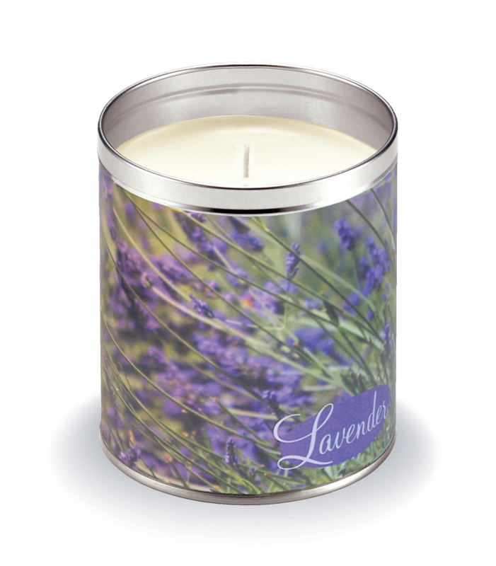 Lavender Fields
