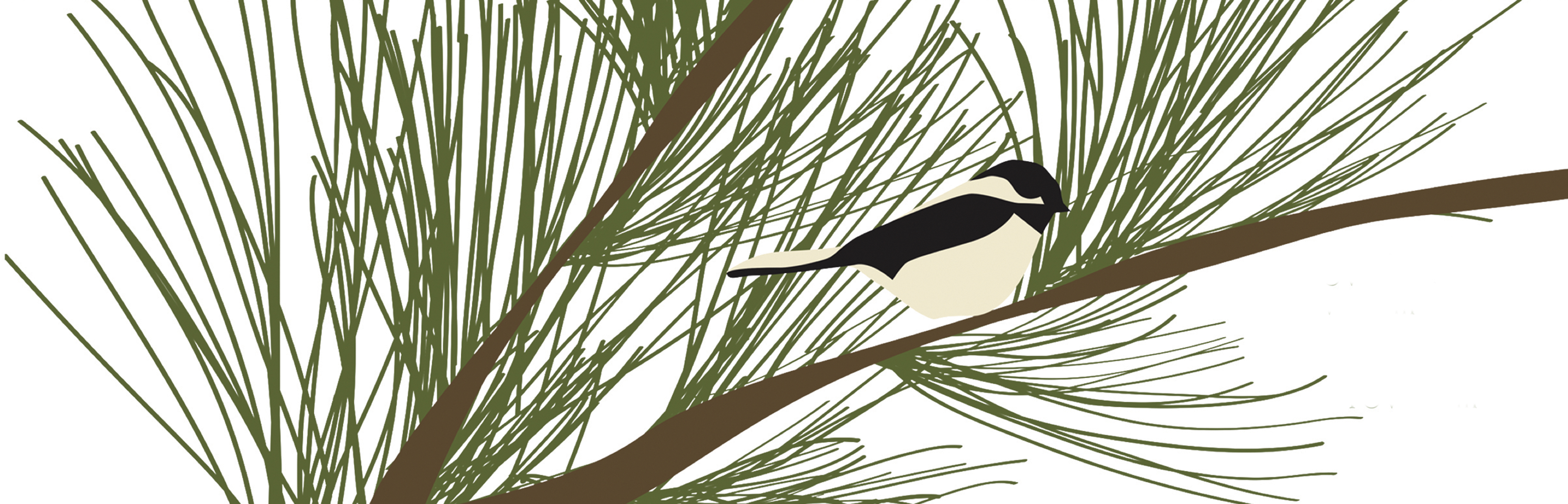 Winter Chickadee Kate Nelligan   NEW
