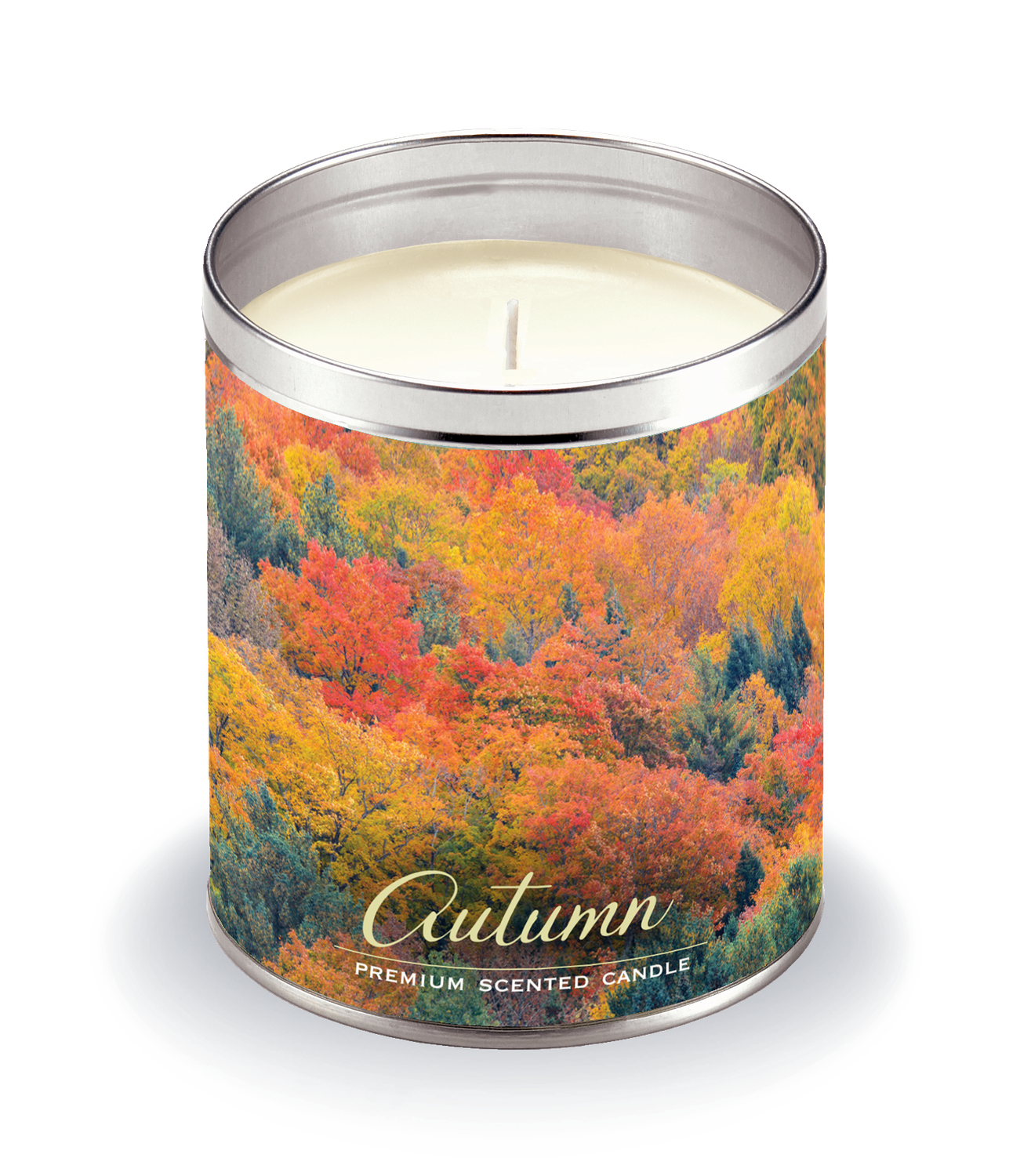 Autumn Treetops  NEW
