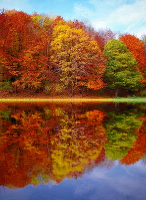 Seasonal