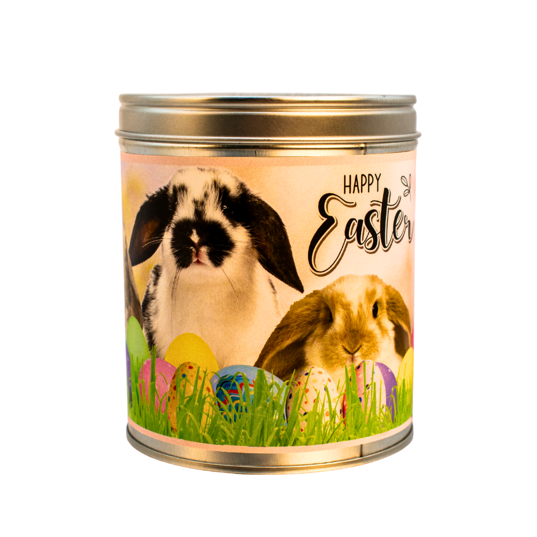 Floppsy, Moppsy & Toppsy Easter Bunnies, Tin Color: Silver