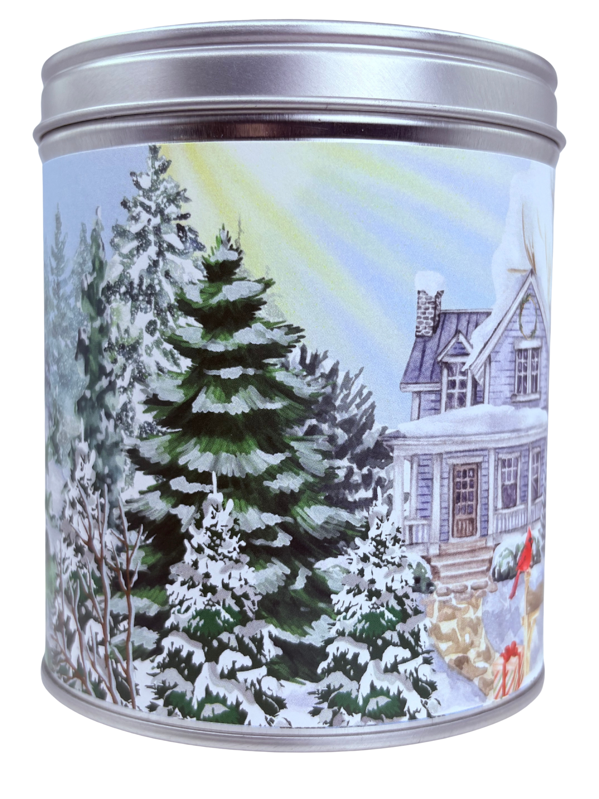 Grandma's Blue House in the Woods