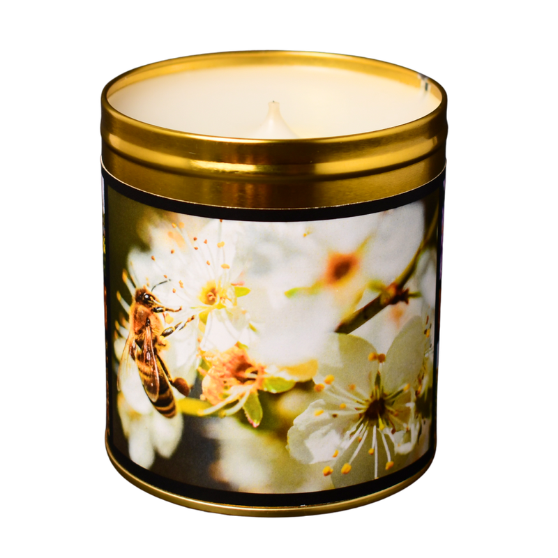 Honeyed Meadows - Wild Mountain Honey Candle