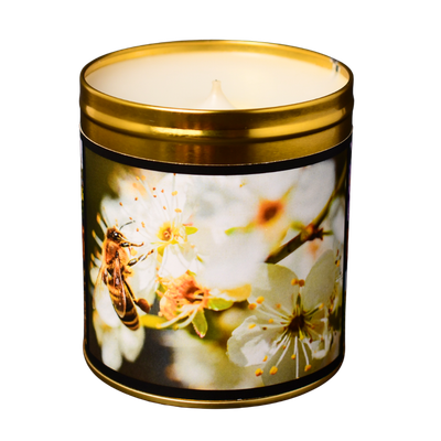 Honeyed Meadows - Wild Mountain Honey Candle