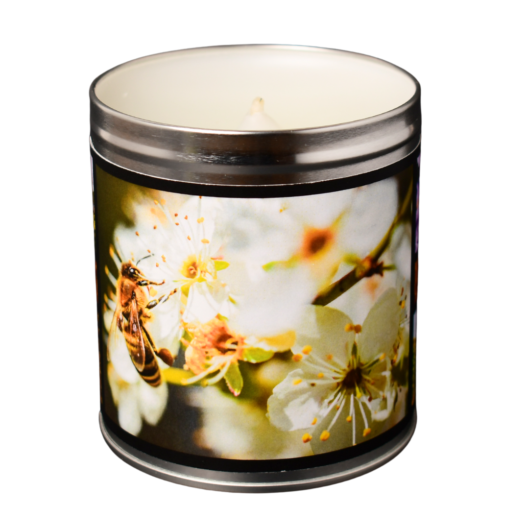 Honeyed Meadows - Wild Mountain Honey Candle