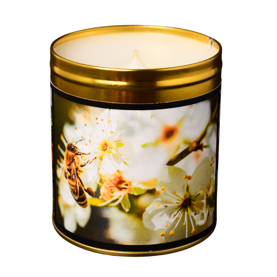 Honeyed Meadows - Wild Mountain Honey Candle, Tin Color: Gold