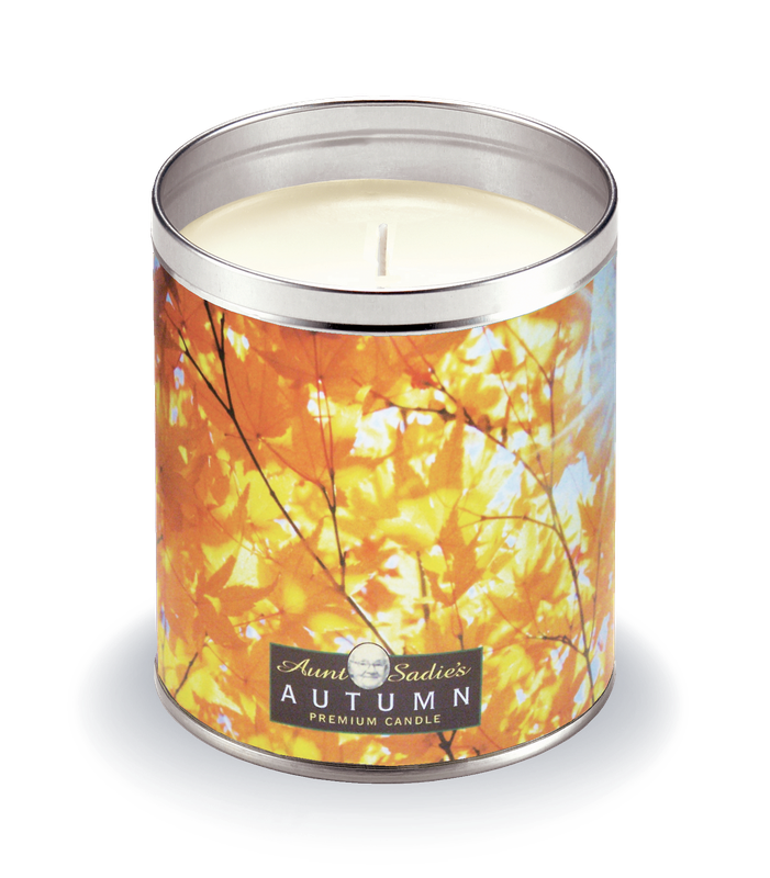 Autumn Sun through Trees