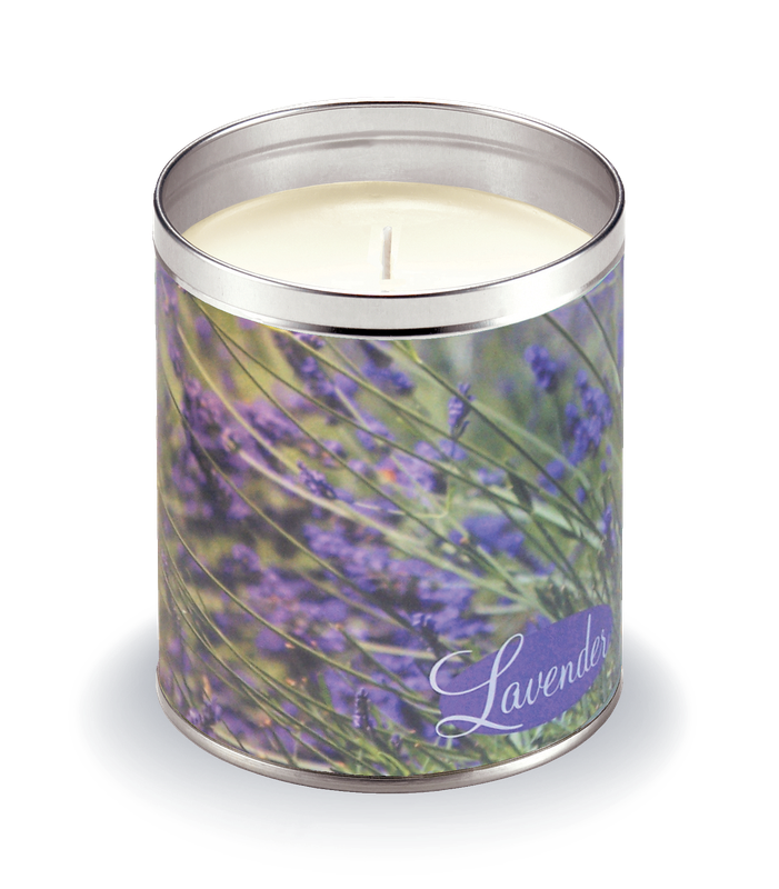 Lavender Fields Lavender Fields