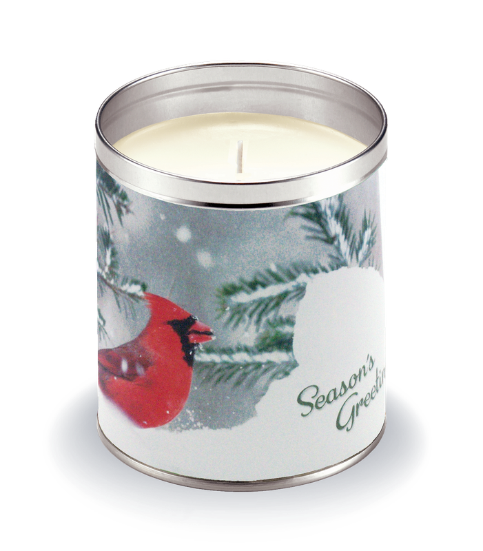 Red Cardinals in Snow