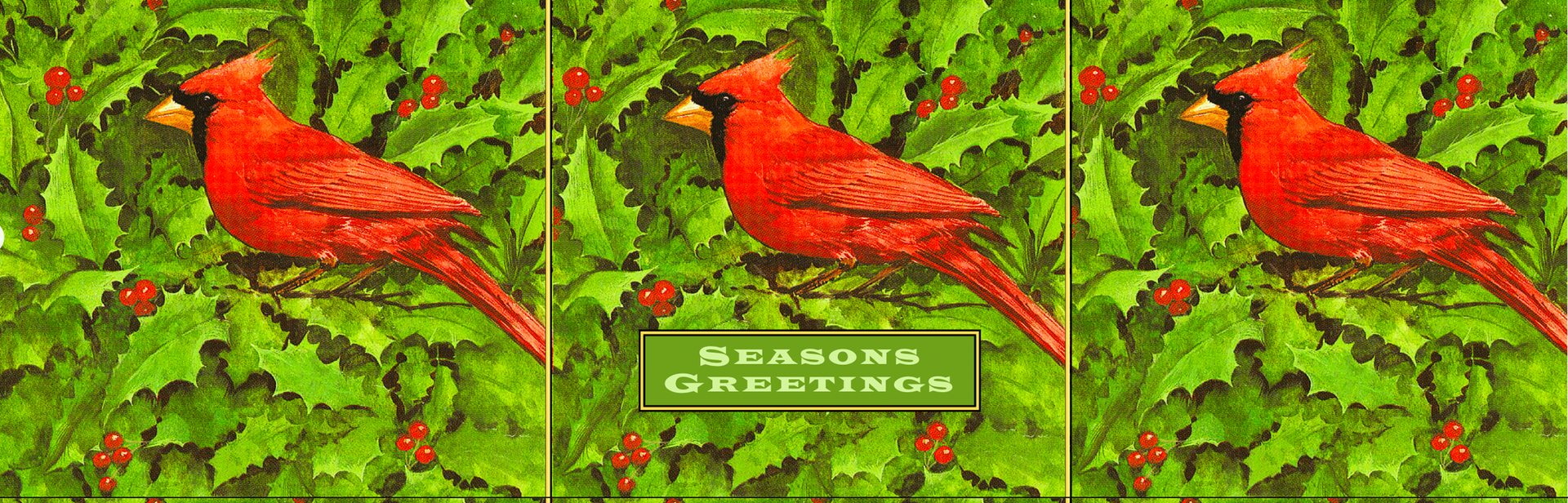 Red Cardinals