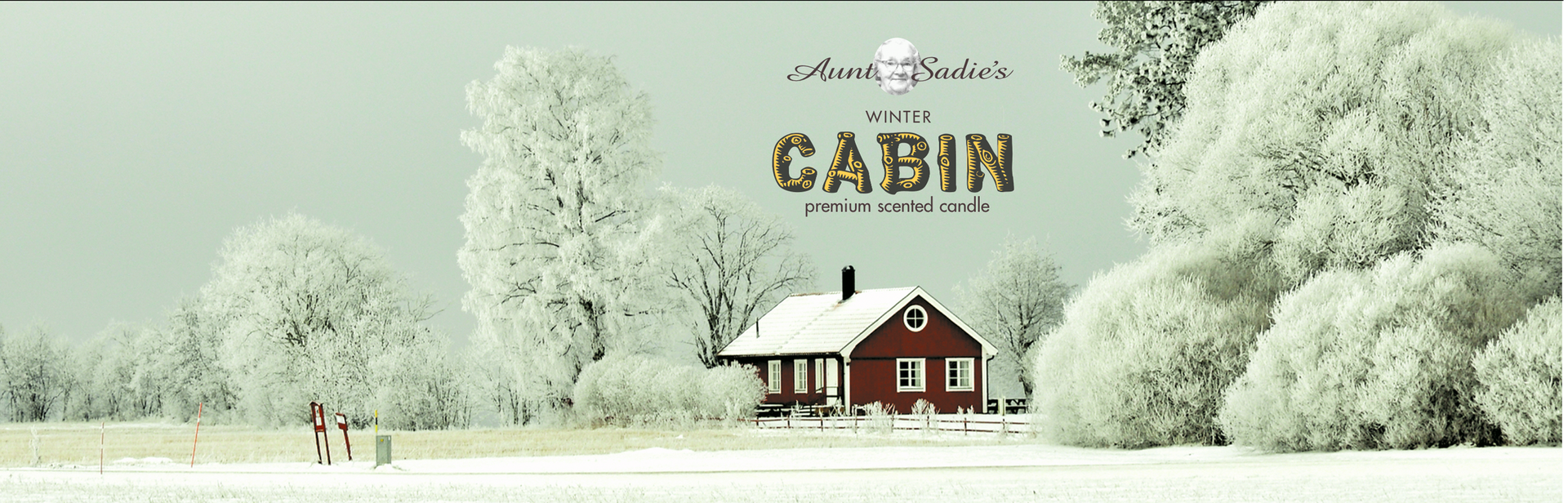 Winter Cabin