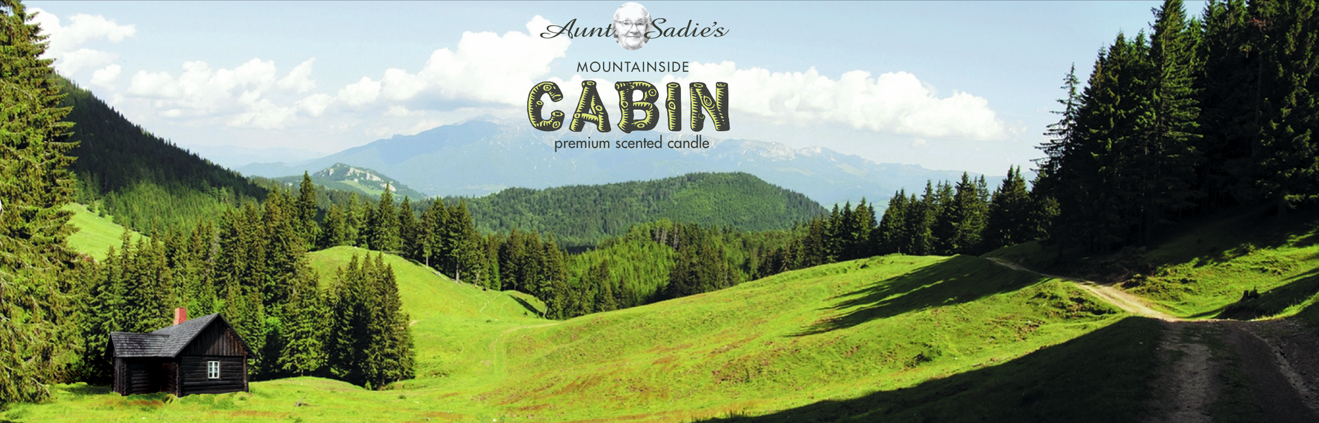 Mountainside Cabin